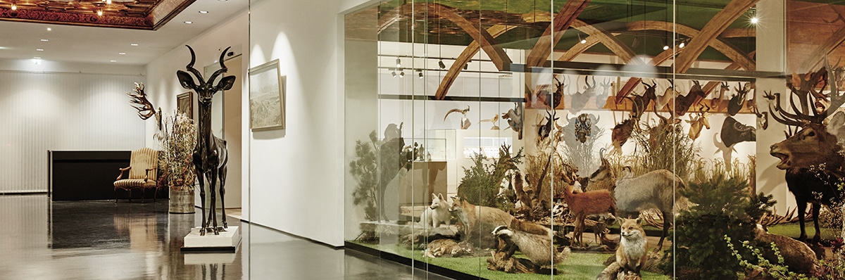 arche-noah-museum natursammlung