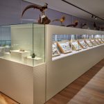 arche-noah-museum natursammlung